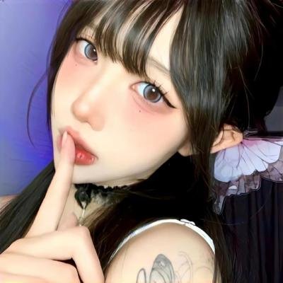 来自收容所的爱